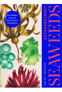 Extraordinary Seaweeds - Humanitas