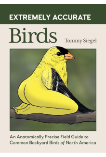 Extremely Accurate Birds - Humanitas