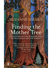 Finding the Mother Tree - Humanitas