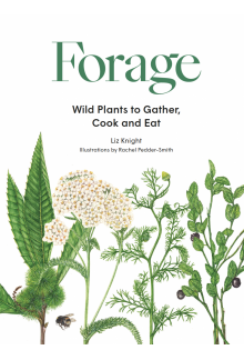 Forage. Wild Plants to Gather and Eat - Humanitas