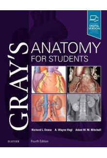 Gray's Anatomy for Students4 ed - Humanitas