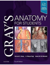 Gray's Anatomy for Students4 ed - Humanitas