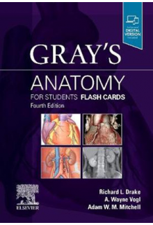 Grays Anatomy for Students Flash cards, 4 ed - Humanitas
