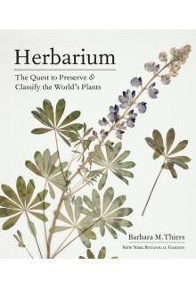 Herbarium - Humanitas
