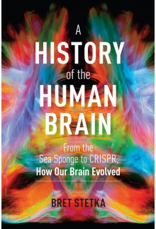 History of the Human Brain - Humanitas