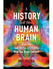 History of the Human Brain - Humanitas