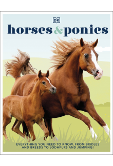 Horses & Ponies: Everything You Need to Know, From Bridles and Breeds to Jodhpurs and Jumping! - Humanitas