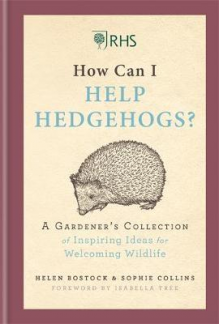 How Can I Help Hedgehogs? Ideas for Welcoming Wildlife - Humanitas