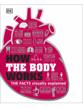 How the Body Works: The Facts Simply Explained - Humanitas