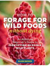 How to Forage for Wild Foods without Dying - Humanitas