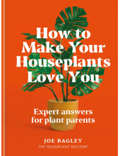 How to Make Your Houseplants Love You - Humanitas