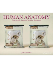Human Anatomy - Humanitas