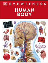 Human Body - Humanitas