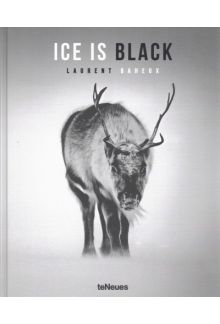 Ice is Black - Humanitas