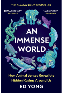 Immense World - Humanitas