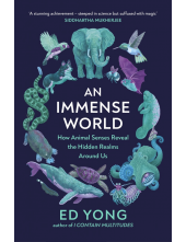 Immense World - Humanitas