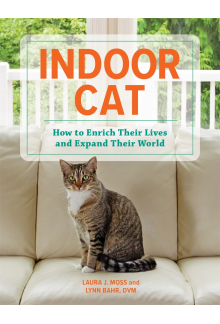 Indoor Cat - Humanitas