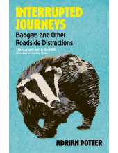 Interrupted Journeys - Humanitas