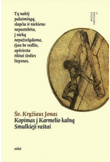 Kopimas į Karmelio kalną.Smulkieji raštai - Humanitas