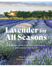 Lavender for All Seasons - Humanitas
