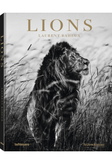 Lions - Humanitas