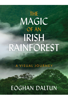 Magic of an Irish Rainforest - Humanitas