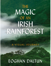 Magic of an Irish Rainforest - Humanitas