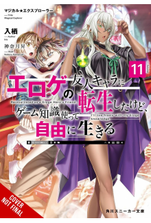 Magical Explorer, Vol. 11 (light novel) - Humanitas