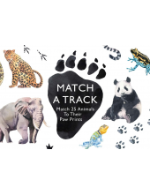 Match a Track - Humanitas