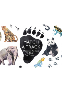 Match a Track - Humanitas