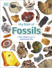 My Book of Fossils: A fact-filled guide to prehistoric life - Humanitas