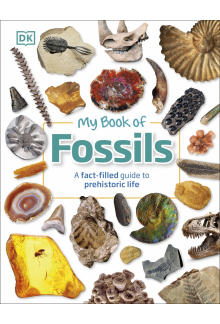 My Book of Fossils: A fact-filled guide to prehistoric life - Humanitas