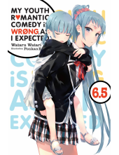 My Youth Romantic Comedy Is Wrong, As I Expected, Vol. 6.5 (light novel) - Humanitas