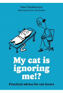My cat is ignoring me!? - Humanitas