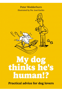 My dog thinks he's human!? - Humanitas