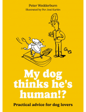 My dog thinks he's human!? - Humanitas
