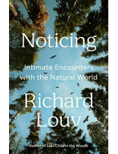 Noticing - Humanitas