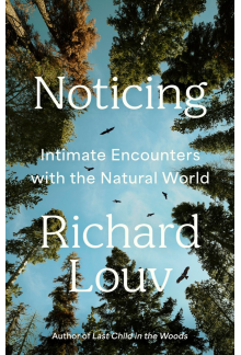 Noticing - Humanitas