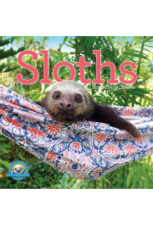 Original Sloths Mini Wall Calendar 2027 - Humanitas
