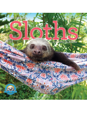Original Sloths Mini Wall Calendar 2027 - Humanitas