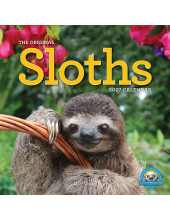 Original Sloths Wall Calendar 2027 - Humanitas
