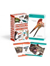 Our World in Pictures Dinosaurs and Other Prehistoric Creatures Flash Cards - Humanitas