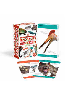 Our World in Pictures Dinosaurs and Other Prehistoric Creatures Flash Cards - Humanitas