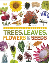 Our World in Pictures: Trees, Leaves, Flowers & Seeds - Humanitas
