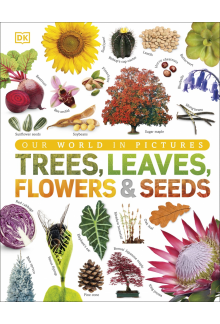 Our World in Pictures: Trees, Leaves, Flowers & Seeds - Humanitas