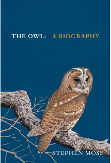 Owl - Humanitas