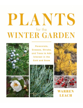 Plants for the Winter Garden - Humanitas