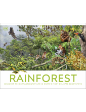 Rainforest - Humanitas