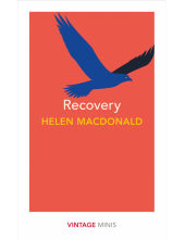 Recovery - Humanitas