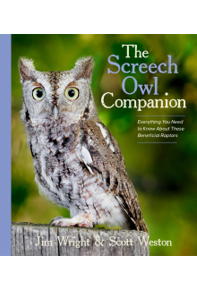 Screech Owl Companion - Humanitas